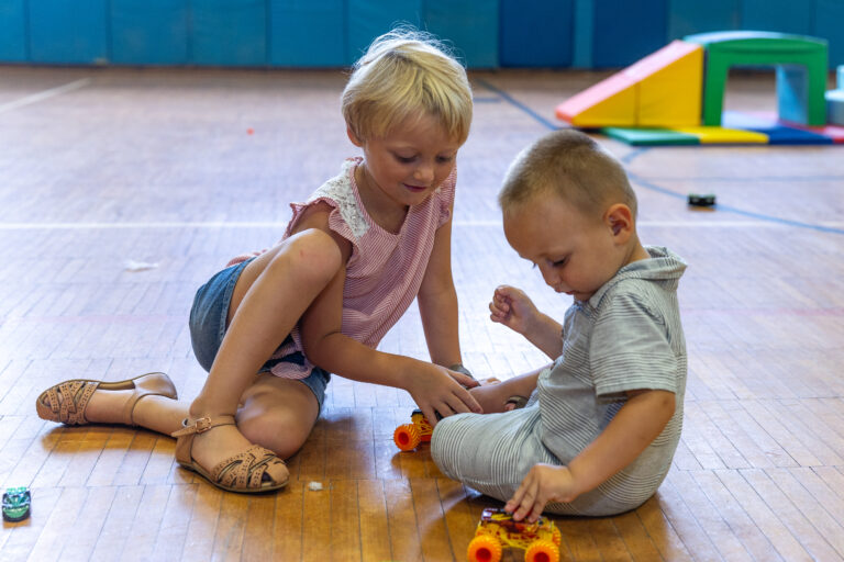 Parent and Provider Survey